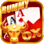teen patti rummy apps